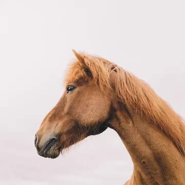 世界杯App导航站 编辑团队头像